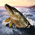 Fishing Clash: реальная рыбалка. 3D симулятор Лого