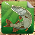 русская рыбалка Лого